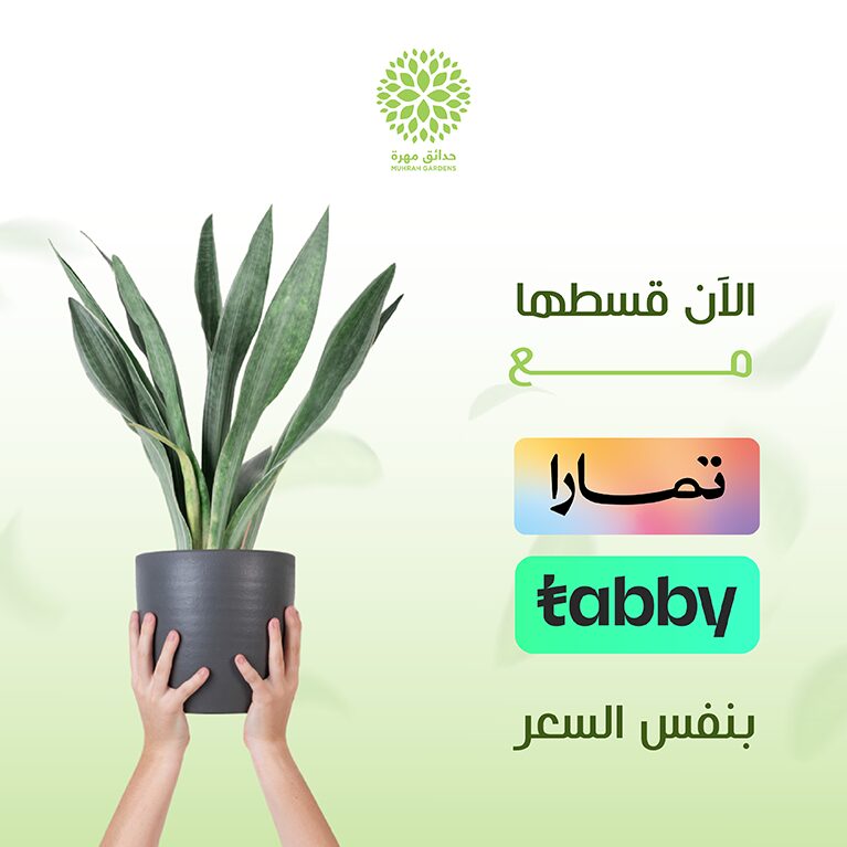 قسطها مع تمارا وتابي