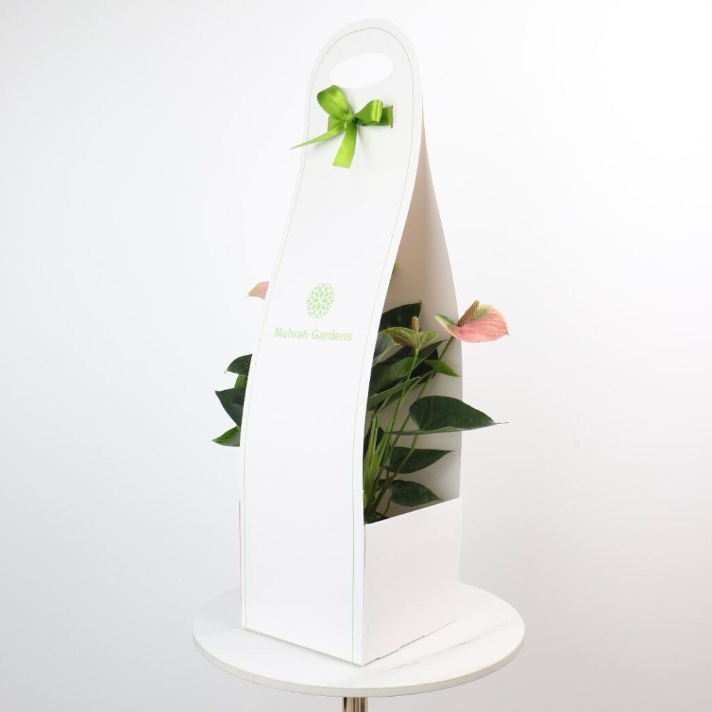 هولدر تغليف هدايا للنباتات مع مقبض أنيق