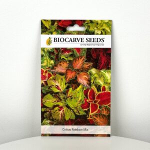 بذور زهرة السجاد