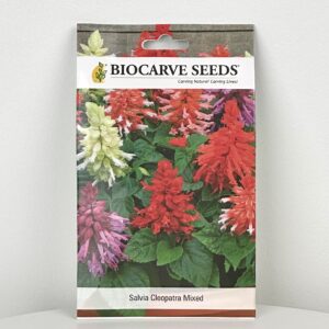 بذور ازهار سيلفيا