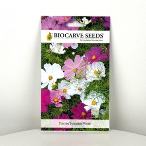 بذور كوزموس