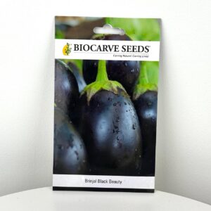 بذور الباذنجان