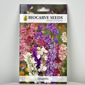 بذور زهرة دلفينم