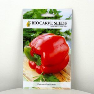 بذور الفلفل الأحمر 