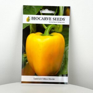 بذور الفلفل الاصفر